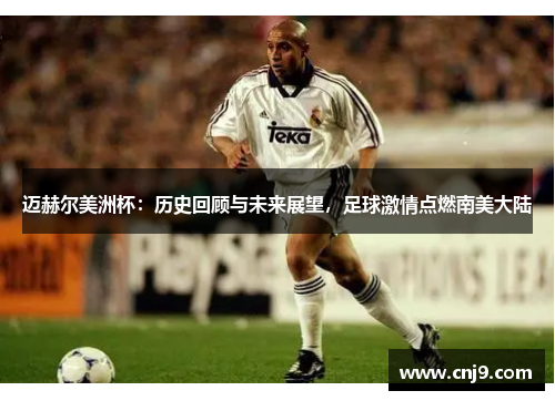 迈赫尔美洲杯：历史回顾与未来展望，足球激情点燃南美大陆